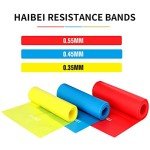 HAIBEI Resistance Bands Set for Therapy and Workouts