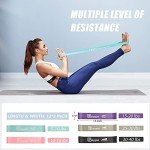 Polygon Resistance Loop Exercise Bands for Therapy & Fitness