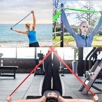 Kaimex Resistance Bands for Fitness and Therapy - 5 Pack