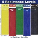 Resistance Bands Set for Workout and Therapy
