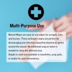 Antiseptic First Aid Wipes 20/Box