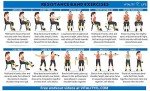 Exercise Resistance Band for Seniors with Guide