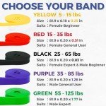 LEZER Exercise Resistance Bands for Fitness & Rehab