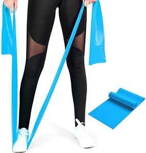 FUDOSAN Blue Resistance Bands for Strength Training