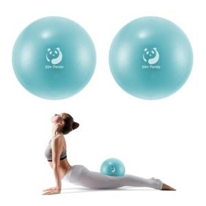 Slim Panda 9" Pilates and Therapy Exercise Balls (2-Pack)