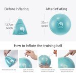 Slim Panda 9" Pilates and Therapy Exercise Balls (2-Pack)