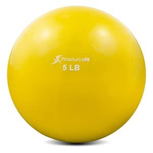 Weighted Toning Exercise Balls for Fitness and Rehab