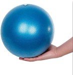 9-Inch Mini Exercise Ball with Pump for Pilates