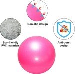 2-Pack Small Pilates and Therapy Exercise Balls