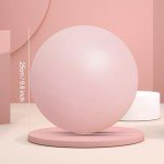 2 Pack 9.8 Inch Anti-Burst Exercise Balls