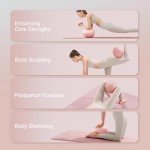 2 Pack 9.8 Inch Anti-Burst Exercise Balls