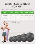 Trideer Anti-Burst Heavy Duty Yoga Ball 65cm