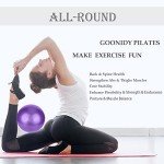 9-Inch Mini Pilates Ball for Core and Therapy