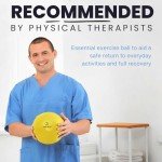 ProBody Pilates Ball for Therapy and Exercise 9