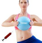6-Inch Mini Yoga Pilates Stability Ball with Pump