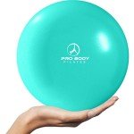 9 Inch Pilates Ball for Core & Physical Therapy