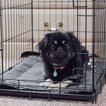 Self-Warming Pet Bed Mat for Cats & Dogs