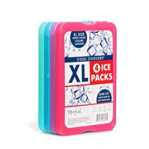 Fit & Fresh - 4 Large Lunch Ice Packs