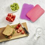 Fit & Fresh - 4 Large Lunch Ice Packs