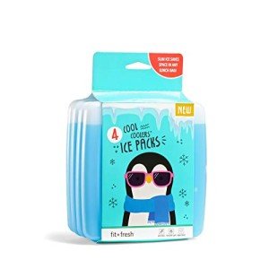 Fit & Fresh Reusable Ice Packs - Set of 4