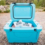 Titan Deep Freeze Ice Pack - 2 Pack