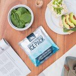 Titan Deep Freeze Ice Pack - 2 Pack