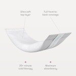 Frida Mom 2-in-1 Postpartum Ice Maxi Pads