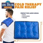 Large Reusable Gel Ice Pack for Pain Relief - 2 Count