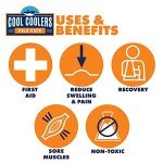 Large Reusable Gel Ice Pack for Pain Relief - 2 Count