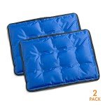 Large Reusable Gel Ice Pack for Pain Relief - 2 Count