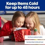 Cooler Shock Reusable Ice Packs for Lunches & More