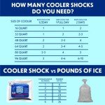 Cooler Shock Reusable Ice Packs for Lunches & More