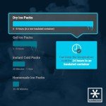 Reusable Dry Ice Packs for Coolers and Lunches