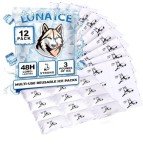 Reusable Ice Packs for Shipping Frozen Food - 12 Pack