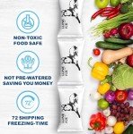 Reusable Ice Packs for Shipping Frozen Food - 12 Pack