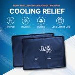 Large FlexiKold Reusable Gel Ice Packs - 2 Pack