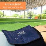 Large FlexiKold Reusable Gel Ice Packs - 2 Pack