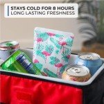 Reusable Ice Packs for Lunch Boxes - 4 Pack