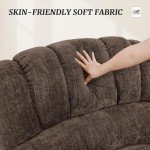 Cozyman Power Lift Recliner Chair with Massage & Heat