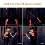 12-Piece Resistance Bands Set for Home Workouts