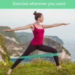 Deluxe Resistance Bands Set for Home and Gym