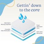 NorthShore GoSupreme Overnight Incontinence Underwear, 8-Hour Pullup Style, Large, 14 Count Bag, White, 36-48 inches, Unisex Adult Diapers