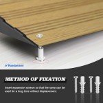 Ruedamann 2" Aluminum Wheelchair Threshold Ramp