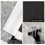 Portable Aluminum Wheelchair Ramp with Carry Handle