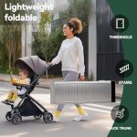 TaiH Leo 2FT Folding Aluminum Wheelchair Ramp