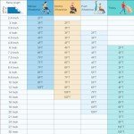 2FT Portable Aluminum Wheelchair Ramp, 600 lbs Capacity