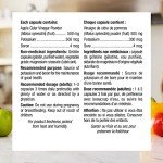 Webber Naturals Apple Cider Vinegar 500 mg, 240 Caps