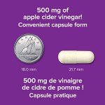 Webber Naturals Apple Cider Vinegar 500 mg, 240 Caps