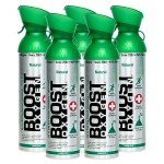 Boost Oxygen Canned 10 Liter Natural Flavored Oxygen Boost Portable Canister Bottle for High Altitudes, Athletes, and More, Green/Silver (5 Pack)