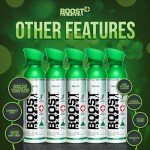 Boost Oxygen Canned 10 Liter Natural Flavored Oxygen Boost Portable Canister Bottle for High Altitudes, Athletes, and More, Green/Silver (5 Pack)